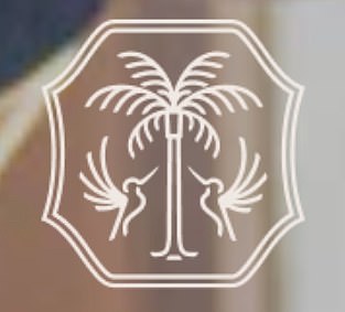 Her new branding features a palm tree, alongside two hummingbirds