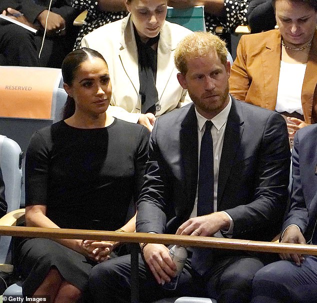 Royal fans begged the Duke of Sussex to 'get a haircut' after many were left stunned by his 'scruffy' mop and 'fuzzy' beard during his appearance at the UN in New York in 2022