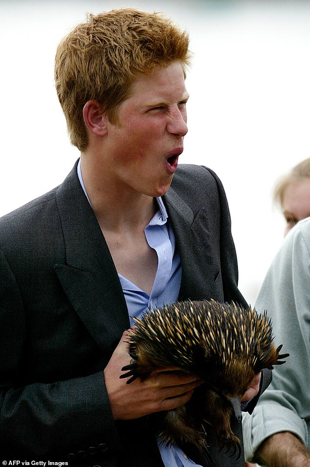 After Harry allowed his head to be shaved by his Eton schoolmates in his youth, he was dubbed 'Spike' after his hair grew back in messily - similar to a spiny anteater