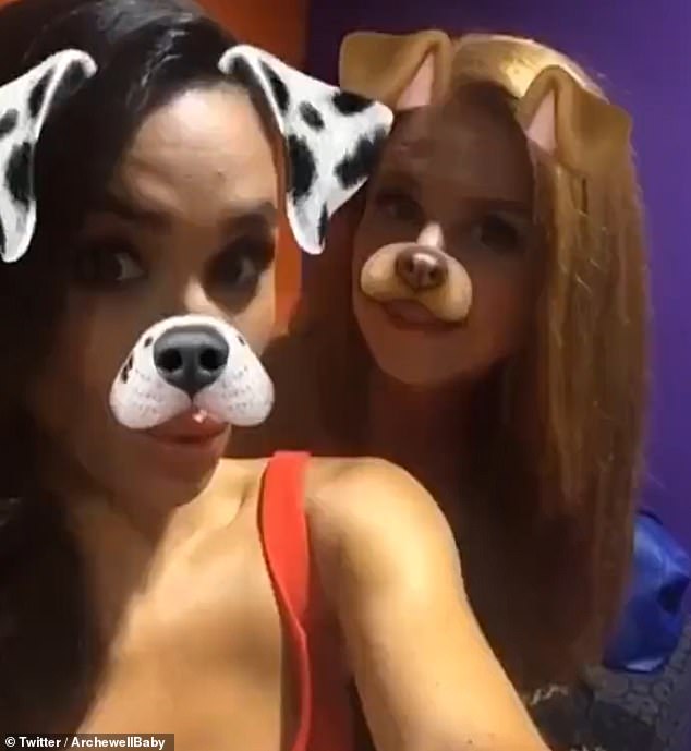 After the release of Prince Harry's memoir Spare, a royal fan shared a clip of Meghan and Suits co-star Sarah Rafferty using a dog filter