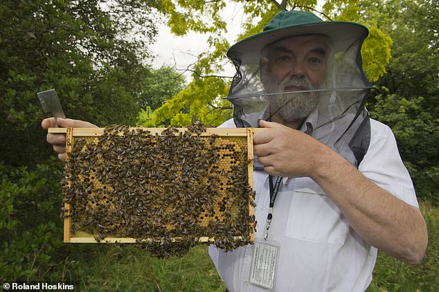 Five hives are in the gardens of the palace and are run by Bee Keeper John Chapple