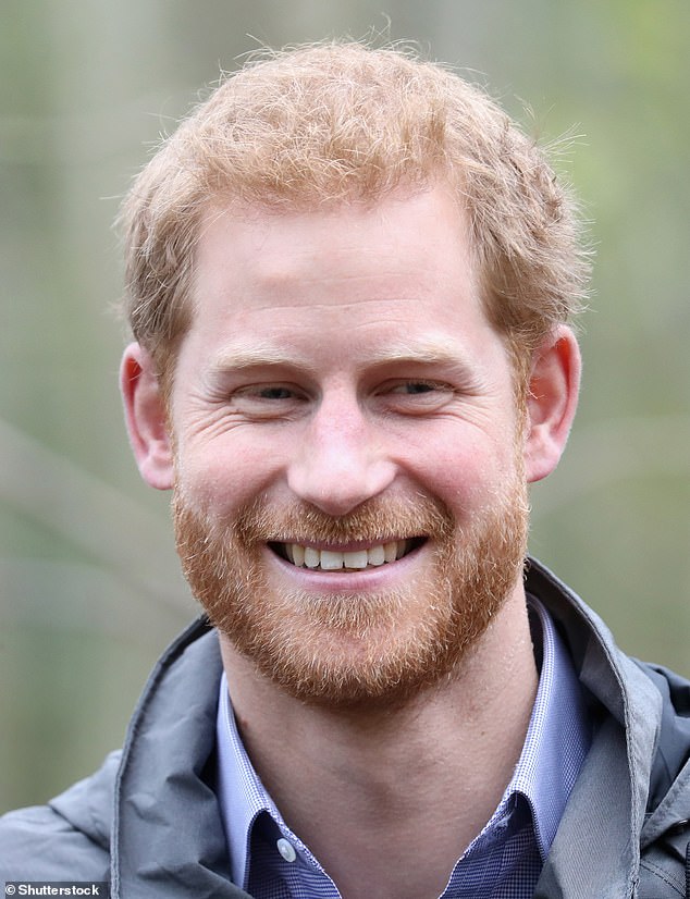 Speaking anonymously to Yes, Ma¿am ¿ The Secret Life of Royal Servants by Tom Quin, a new book which will be out February 15, one insider opened up about what it was like to cater to the Duke of Sussex (pictured in 2017)