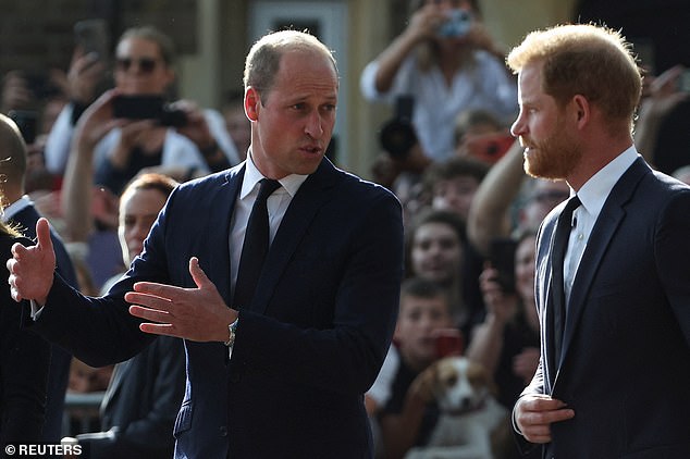 William and Harry were seen conversing briefly during the Windsor walkabout. The brief peace during the occasion is the closest thing they have had to a reconciliation