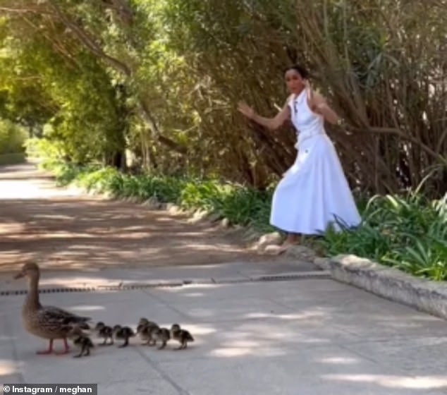 She looked overjoyed when she was filmed reacting to the adorable mother duck and her seven ducklings waddling together as a pack by a woodland
