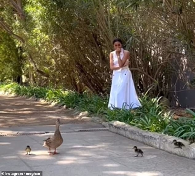 On Easter Sunday, the Duchess was accused of 'staging' a sweet video that shows her watching a flock of ducks crossing a road in Montecito