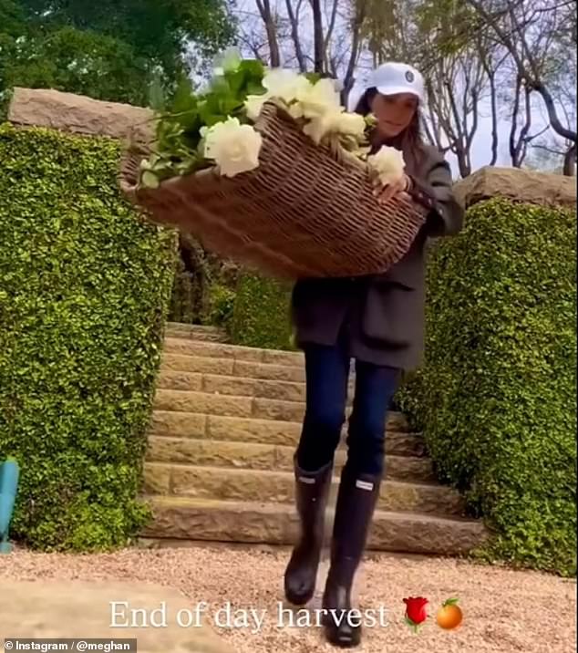 Meghan was seen wearing wellies in her garden while picking vegetables, a far cry from her barefoot post