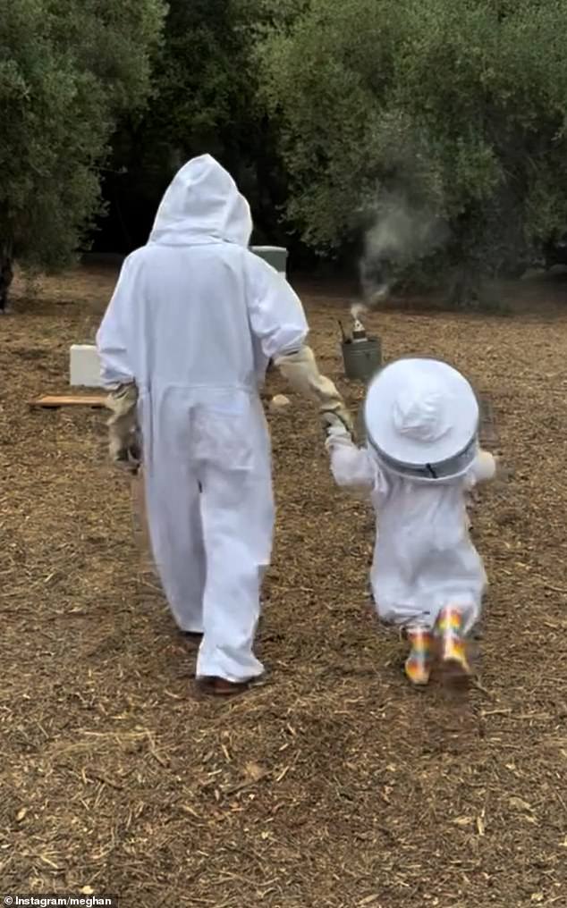 It comes just days after the Duchess of Sussex (pictured) shared a rare photo with her daughter Lilibet as she also gave an update on their beekeeping