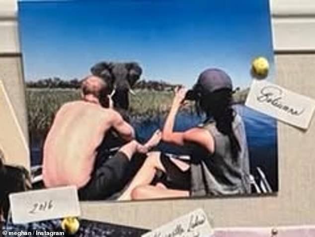 Another snap showed a shirtless Harry and Meghan elephant watching during their holiday to Botswana for their second date in 2016