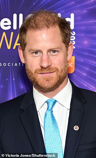 Mcknight said on social media that it was time for Harry to have a hair transplant, or to cut it short like his brother's (The Duke of Sussex photographed at the WellChild Awards in London in 2024)
