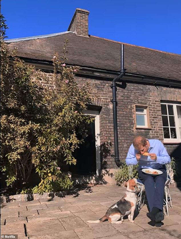 Guy the beagle was very important to Meghan and was there for the wedding proposal