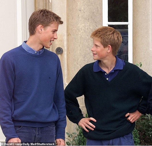 In 2019 rumours started circling that Harry and William had fallen out. The princes are pictured at Highgrove in 1999