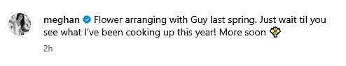 The accompanying caption hints at a project Meghan has 'been cooking up this year' - likely to be a reference to season two of her Netflix show With Love, Meghan