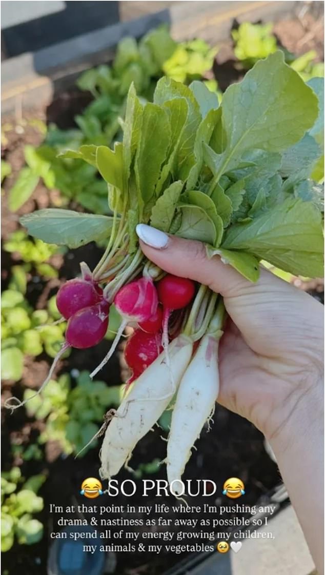 Stacey shared a photo on Instagram captioned: 'I'm at that point in my life where I'm pushing drama and nastiness as far away as possible so I can spend all my energy growing my children, animals and my vegetables'