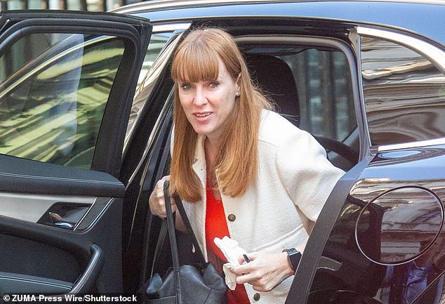 Deputy Prime Minister Angela Rayner (pictured) debriefed the Labour leader after television footage was broadcast last week showing her chauffeur narrowly avoiding mowing down Larry the Cat