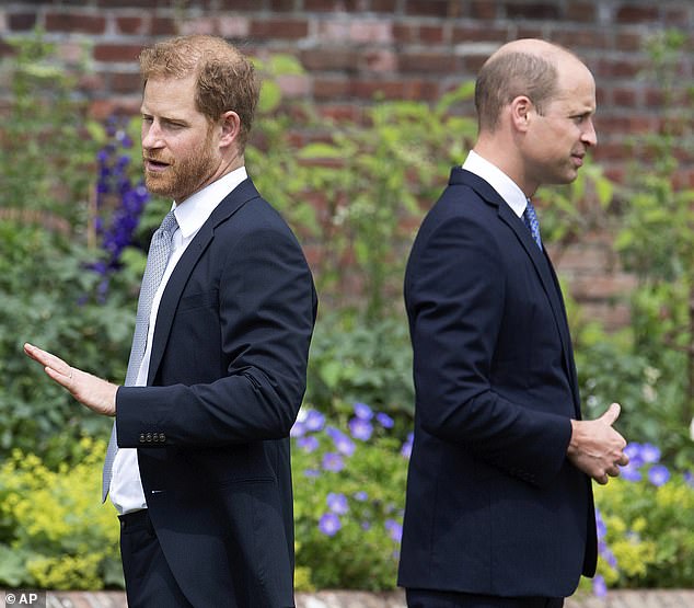 The two brothers have barely spoken to each other since the Duke and Duchess of Sussex left the UK for the US and abandoned royal duties (pictured in 2021)