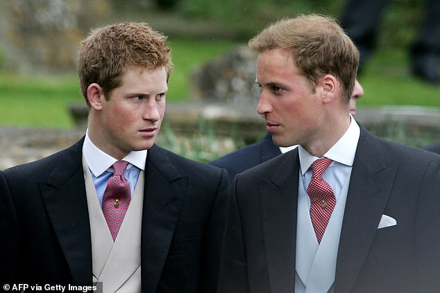 Ms Seward wrote of Harry: 'He chooses to be a victim and wreak vengeance on the slights he thought he had suffered; on his family; on the press and through the courts.' Harry and William are pictured in May 2006