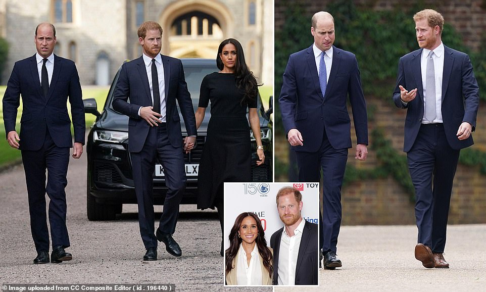 Prince Harry is the second most popular living member of the Royal Family among Americans - behind only his brother Prince William , a poll has revealed. Some 56 per cent of US adults have a positive view of the Duke of Sussex while 21 per cent a negative opinion, according to the YouGov study for The Times . The Prince of Wales meanwhile has a 63 per cent positivity rating in America and 10 per cent negative, which puts him in first place among living royals.