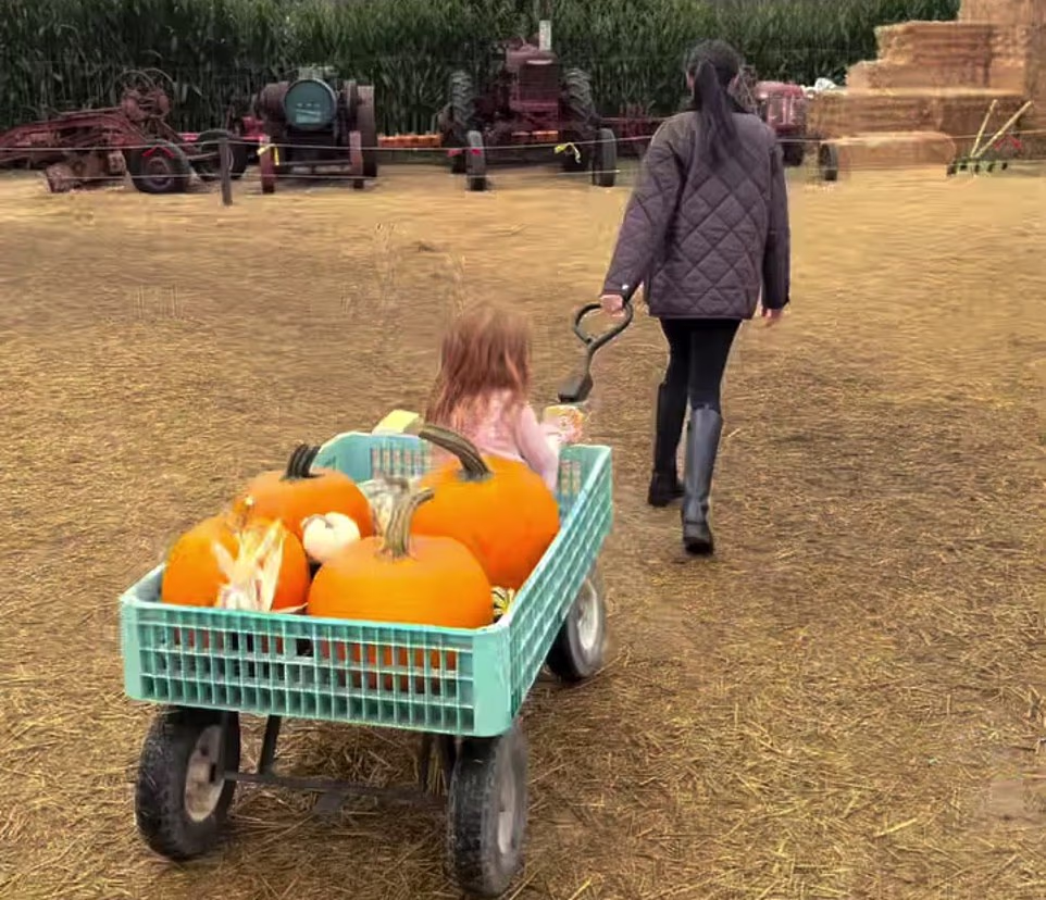 Meghan herself sported an outfit worth over $1,600 for the casual Halloween trip. The Duchess was seen holding hands with Prince Harry and watching her children Archie, six, and Lilibet, four, exploring a field of pumpkins near their home in California. Despite the casual nature of the trip, Meghan made sure she looked stylish in a brown $400 Anine Bing 'Luca' padded jacket, worn recently during her Washington DC trip to Fortune's Most Powerful Women summit. The mother-of-two paired the sleek jacket with black skinny jeans and a pair of Co Leather black riding boots, which retail at $1,195, and tied her locks back in a low ponytail, completing her practical, laid-back ensemble. Harry, meanwhile, also opted for a casual look in jeans, a hoodie and a baseball cap.